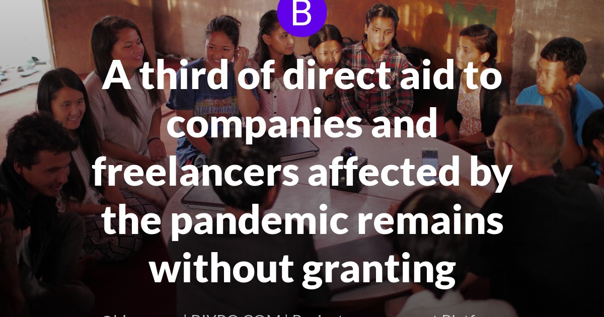 A third of direct aid to companies and freelancers affected by the pandemic remains without granting
