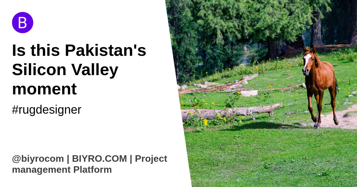 Is this Pakistan's Silicon Valley moment